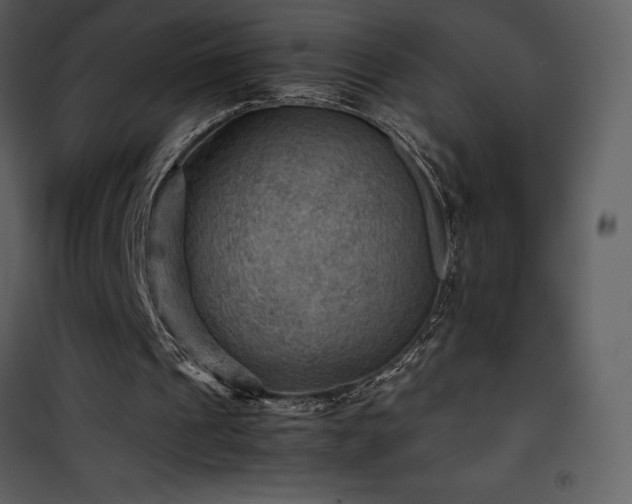 X0000102010241200807181235