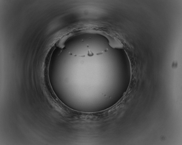 X0000102010242200807181235