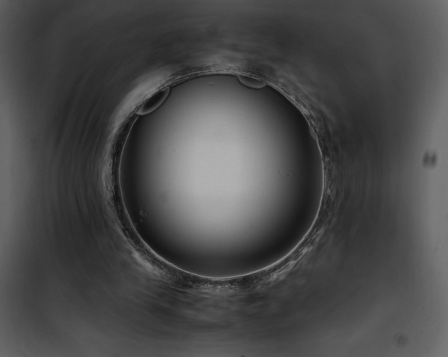 X0000102010245200807181235