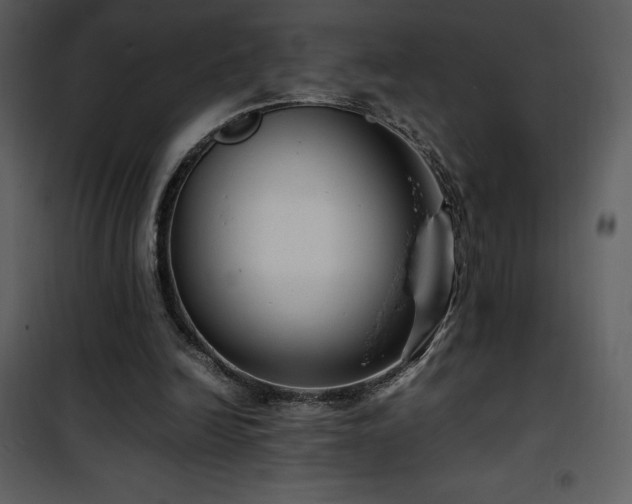 X0000102010246200807181235