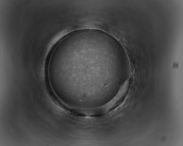 X0000102010248200807181235