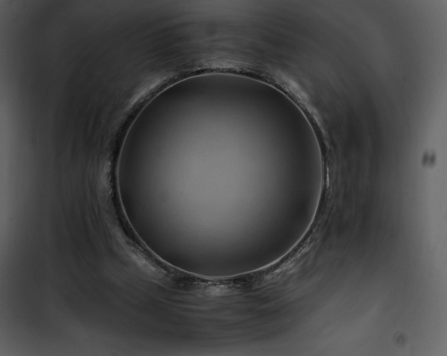 X0000102010249200807181235