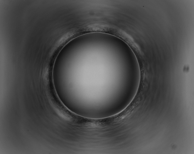 X0000102010250200807181235