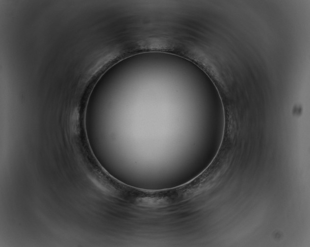 X0000102010251200807181235