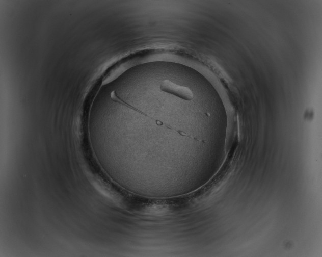 X0000102010252200807181235