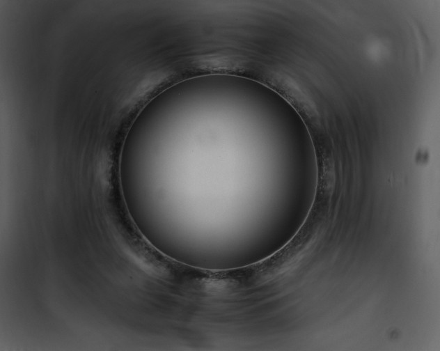X0000102010255200807181235
