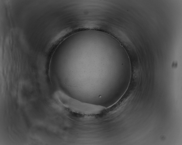 X0000102010256200807181235