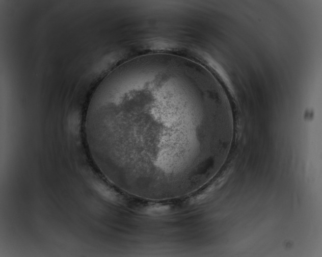 X0000102010257200807181235