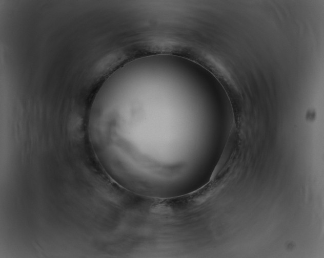 X0000102010258200807181235