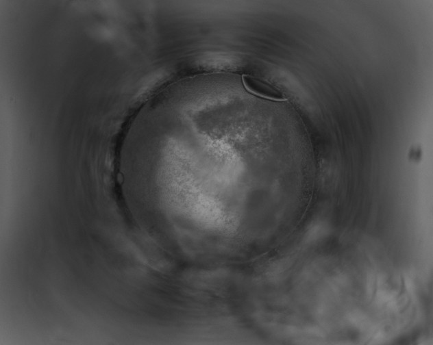 X0000102010259200807181235