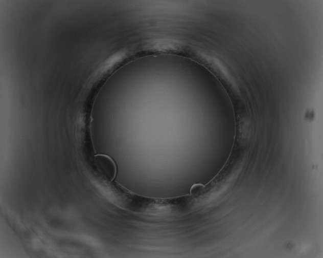 X0000102010260200807181235