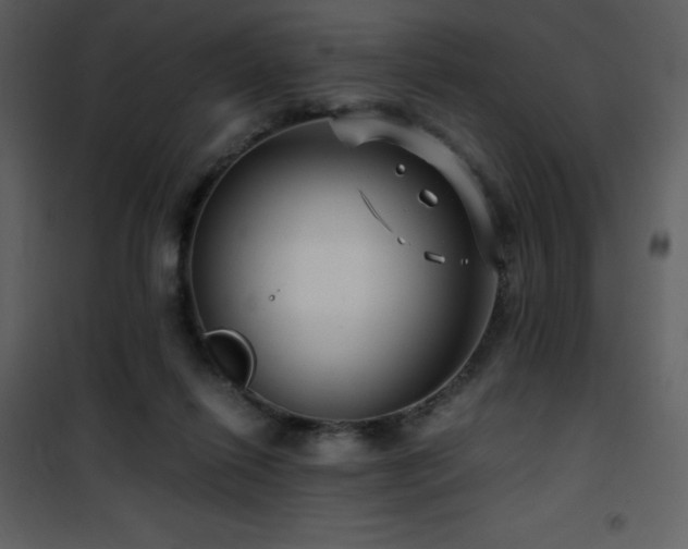 X0000102010262200807181235