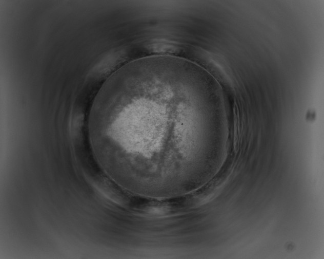 X0000102010263200807181235