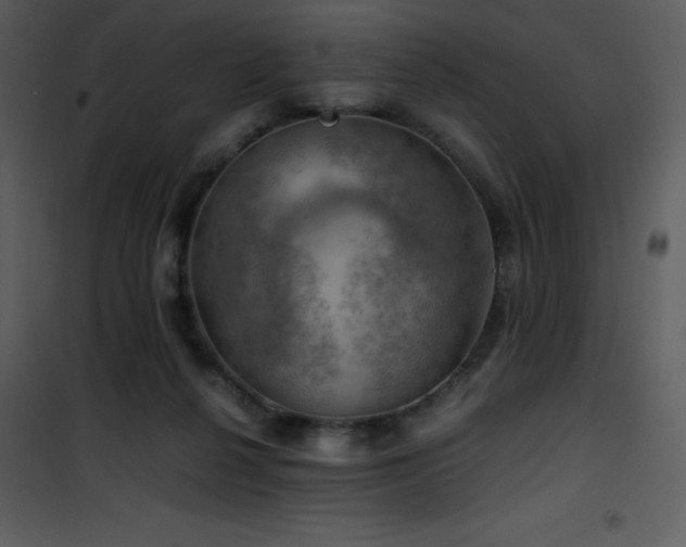 X0000102010264200807181235