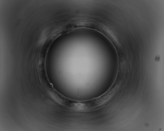 X0000102010265200807181235
