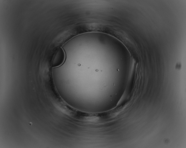 X0000102010266200807181235