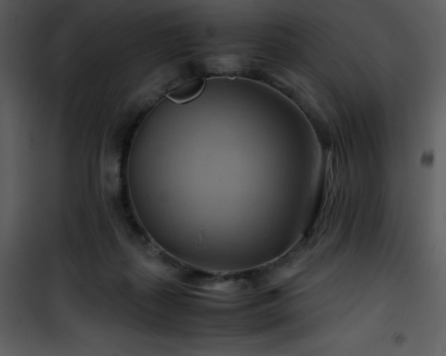 X0000102010267200807181235