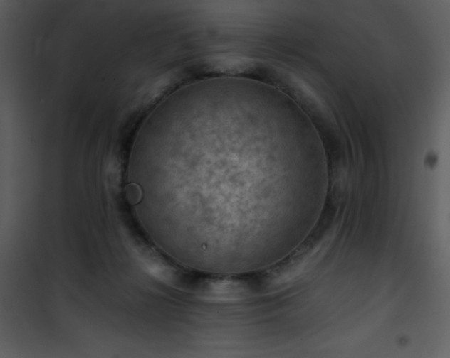 X0000102010268200807181235