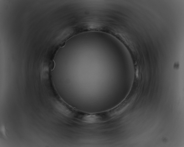 X0000102010269200807181235
