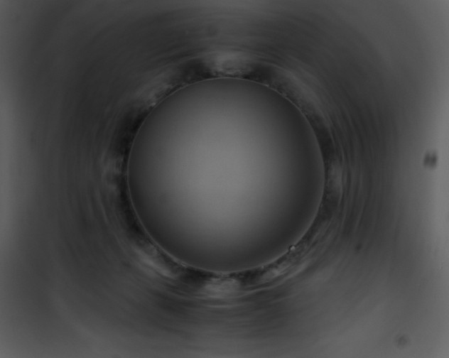 X0000102010271200807181235