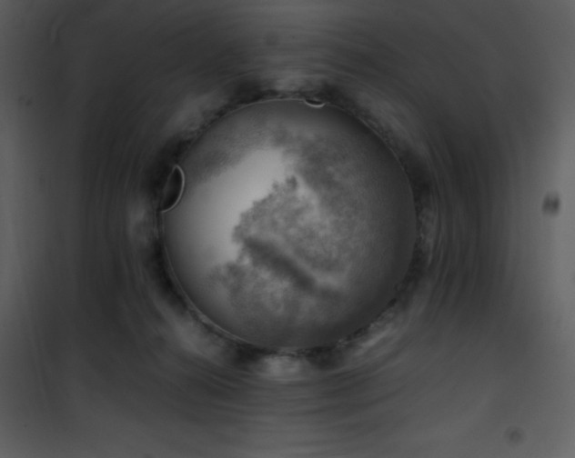 X0000102010272200807181235