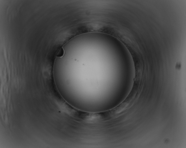 X0000102010274200807181235