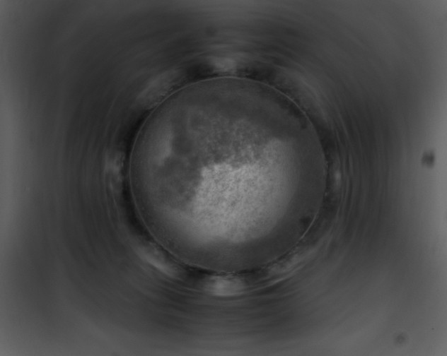 X0000102010275200807181235
