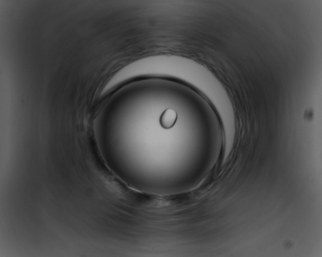 X0000102010276200807181235