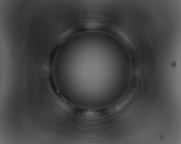 X0000102010277200807181235