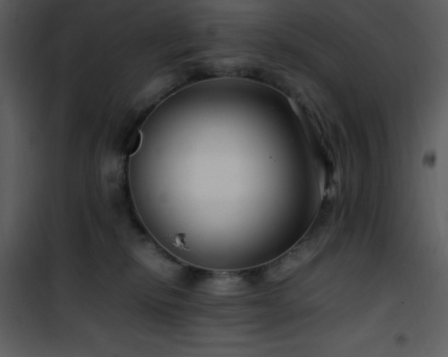 X0000102010278200807181235
