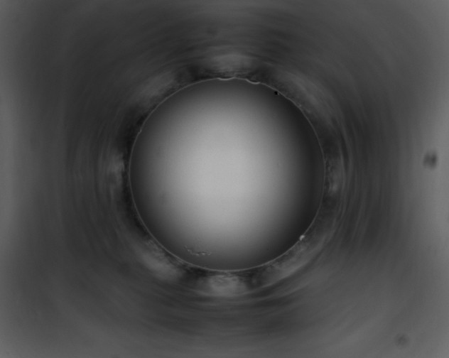 X0000102010279200807181235