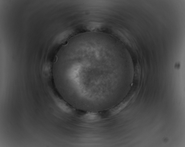 X0000102010280200807181235