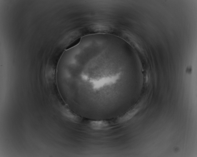 X0000102010281200807181235
