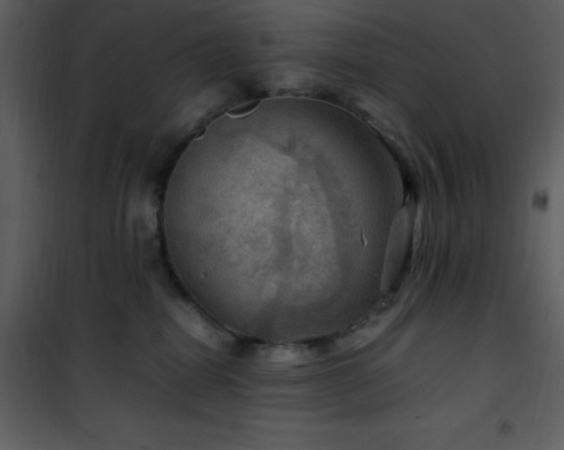 X0000102010282200807181235