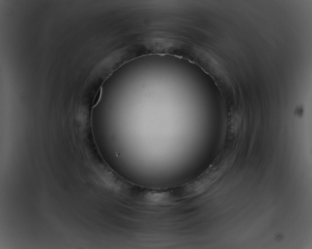 X0000102010283200807181235