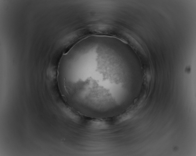 X0000102010284200807181235