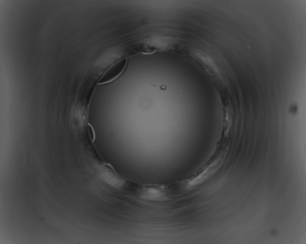 X0000102010285200807181235