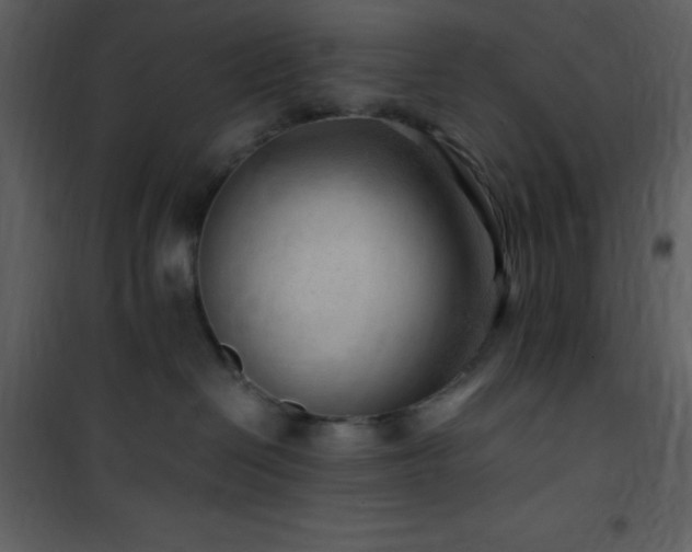 X0000102010286200807181235