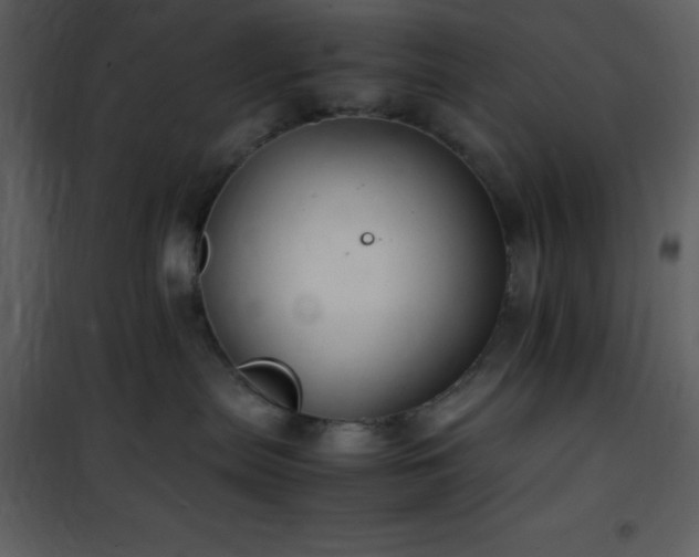 X0000102010287200807181235