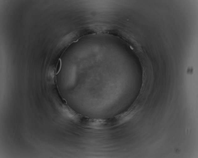 X0000102010288200807181235