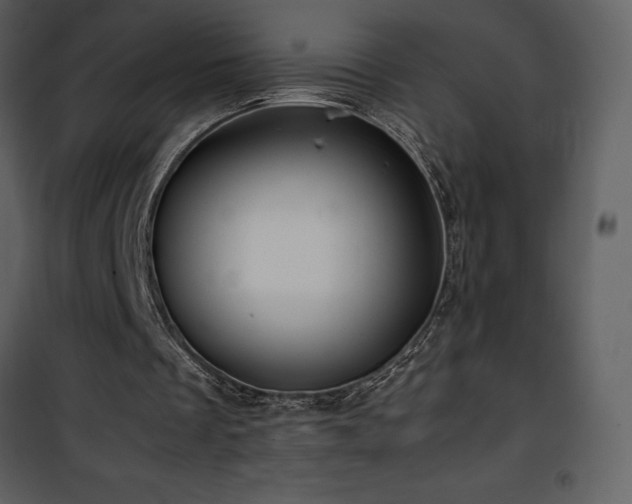 X0000102010289200807181235