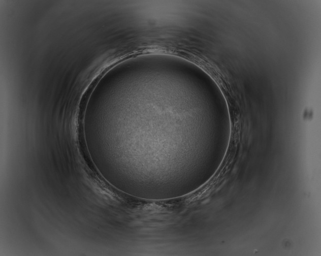 X0000102010290200807181235