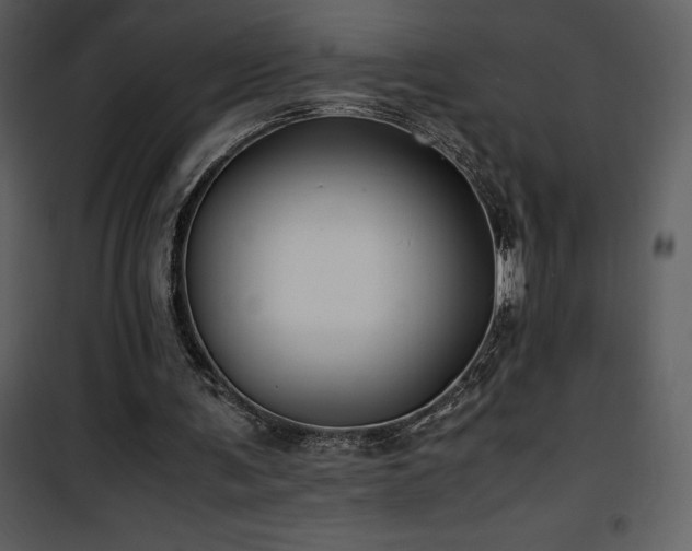 X0000102010291200807181235