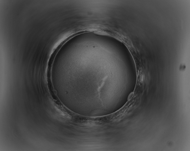 X0000102010292200807181234