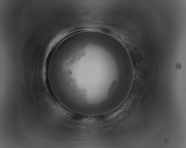 X0000102010294200807181234