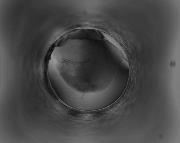 X0000102010295200807181234