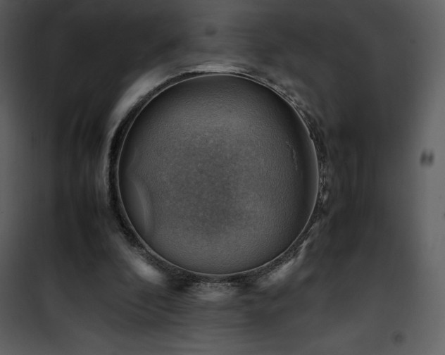X0000102010296200807181234