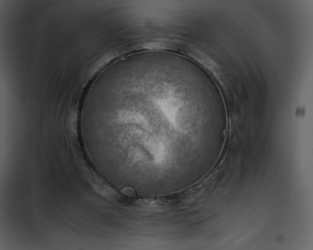 X0000102010297200807181234