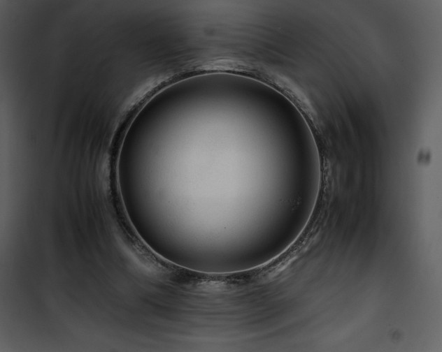 X0000102010298200807181234