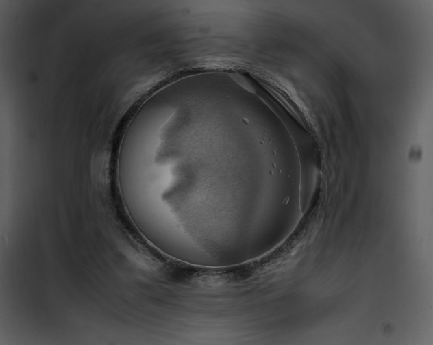 X0000102010299200807181234